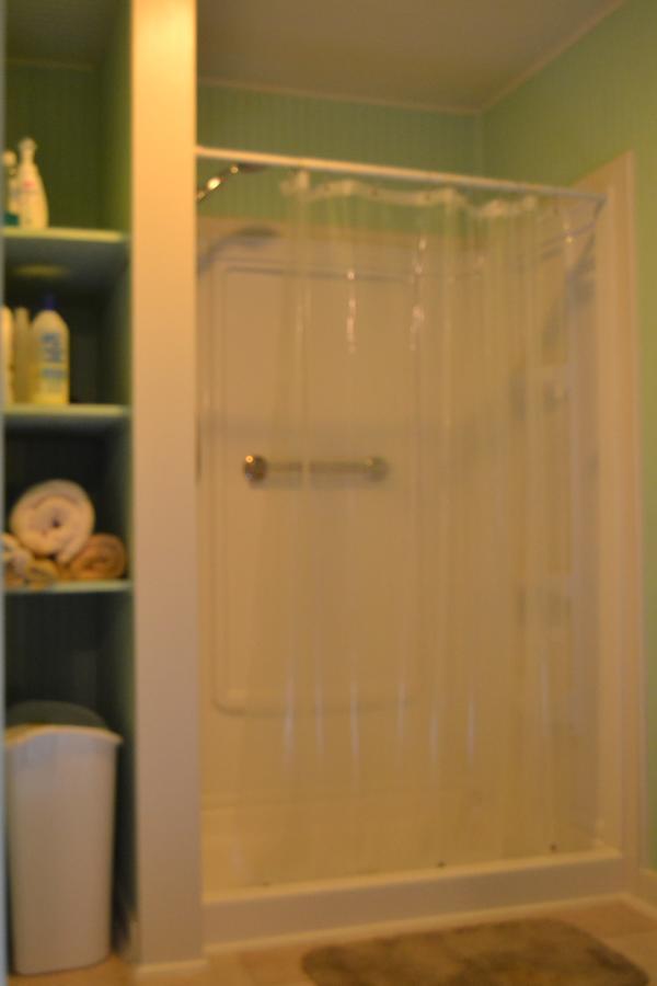Carleton House Bed And Breakfast Bonham Экстерьер фото